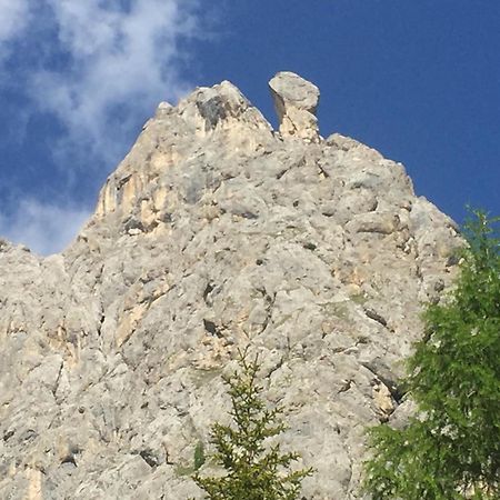 Casa Soia Daire Falcade Dış mekan fotoğraf