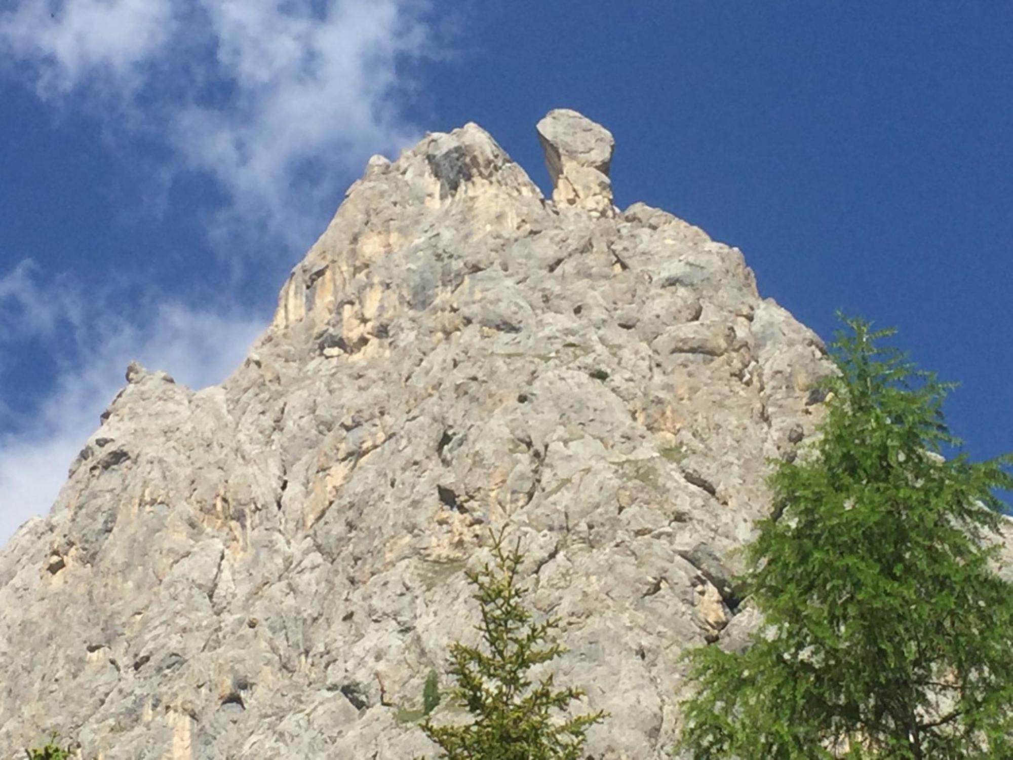 Casa Soia Daire Falcade Dış mekan fotoğraf