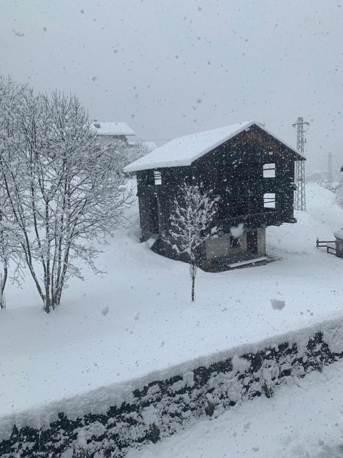 Casa Soia Daire Falcade Dış mekan fotoğraf