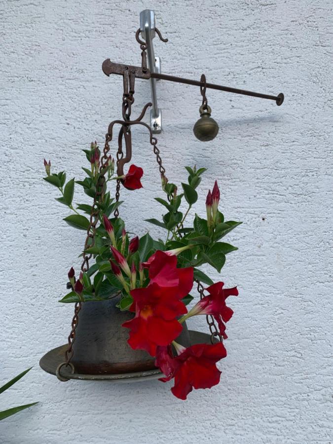 Casa Soia Daire Falcade Dış mekan fotoğraf