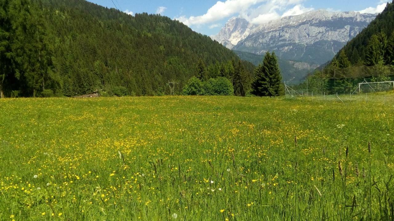 Casa Soia Daire Falcade Dış mekan fotoğraf