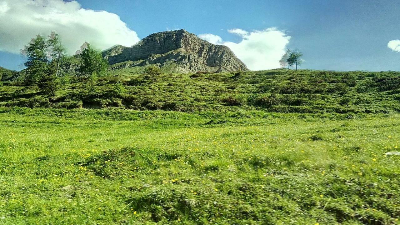 Casa Soia Daire Falcade Dış mekan fotoğraf