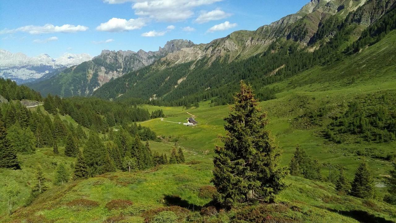 Casa Soia Daire Falcade Dış mekan fotoğraf