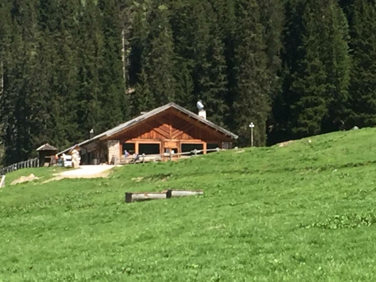 Casa Soia Daire Falcade Dış mekan fotoğraf